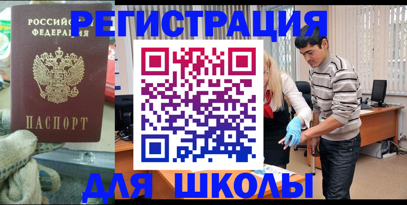временная регистрация поиск в Светлом